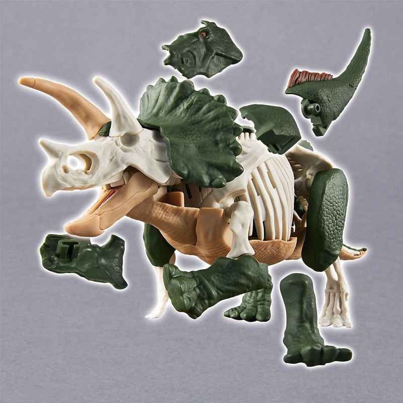 Dinosaure Plastic Model Kit Brand Triceratops 